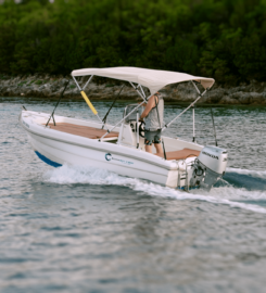 Dolphin Rent a boat or RIB Sivota